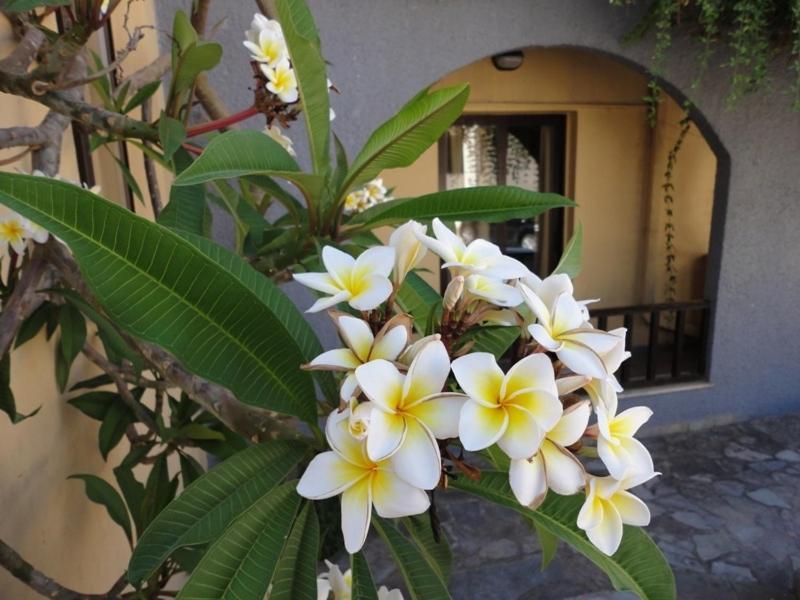 Aparthotel Pergamos Village